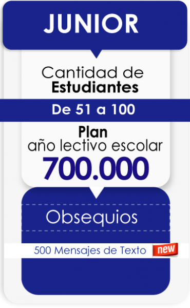 [ Año Lectivo Escolar]